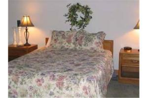 Cimarron Lodge - 2 Bedroom Condo #27 Telluride Exterior photo